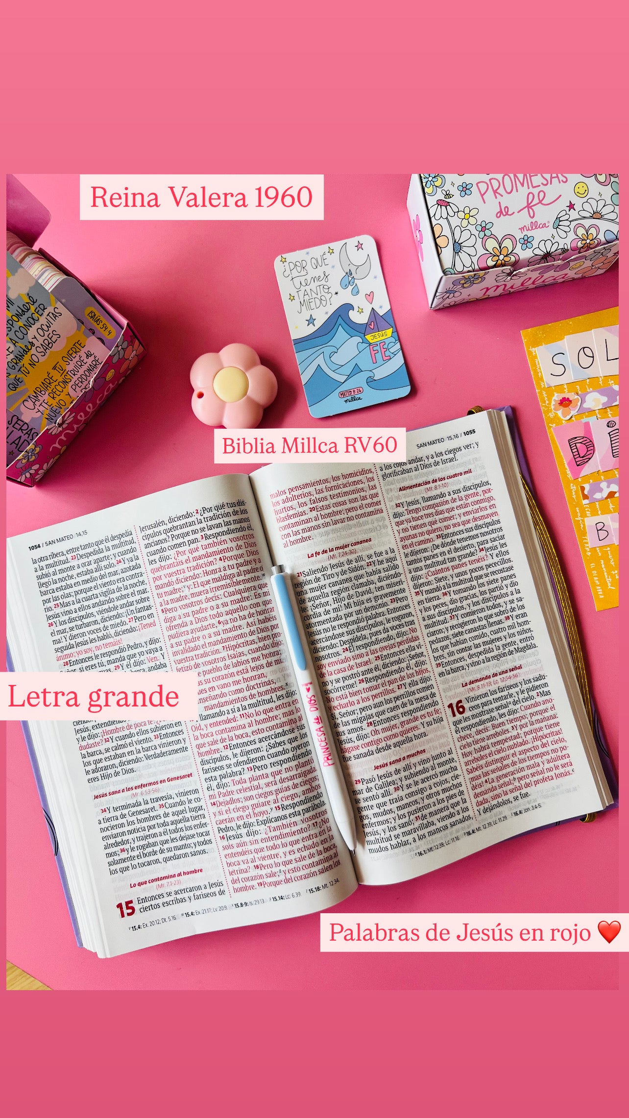 BIBLIA MILLCA FLORECER RV60