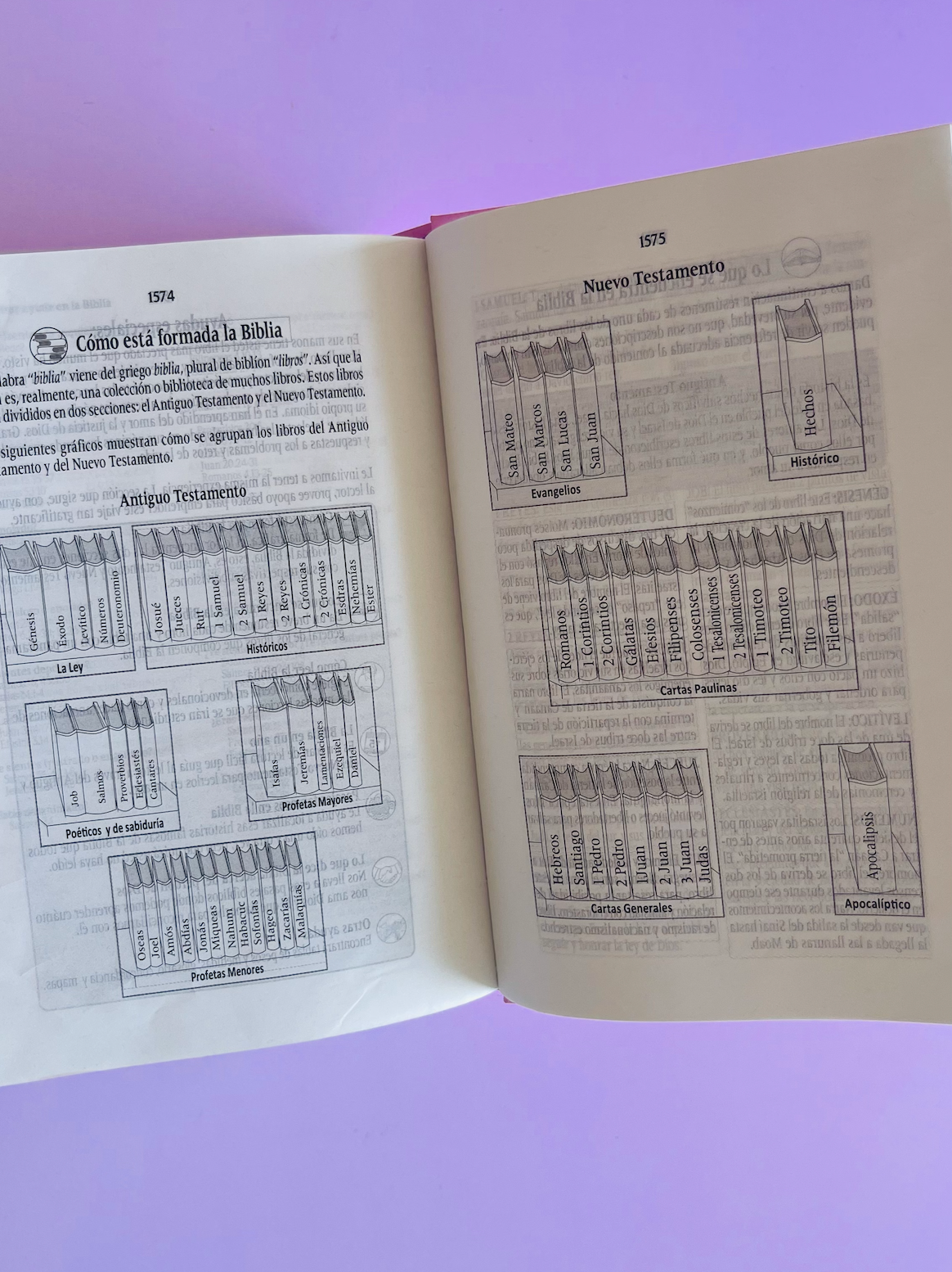 BIBLIA MILLCA NUEVO CORAZÓN