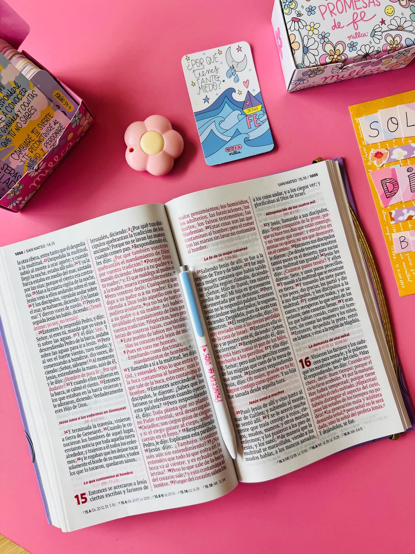 BIBLIA MILLCA FLORECER RV60