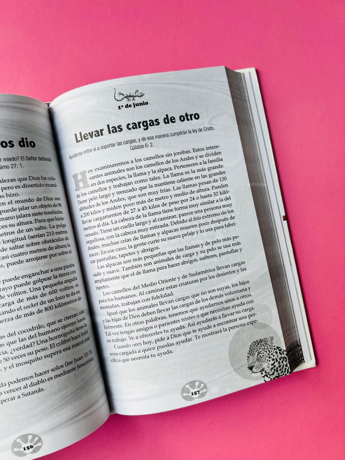 DEVOCIONAL UN PLANETA INCREIBLE