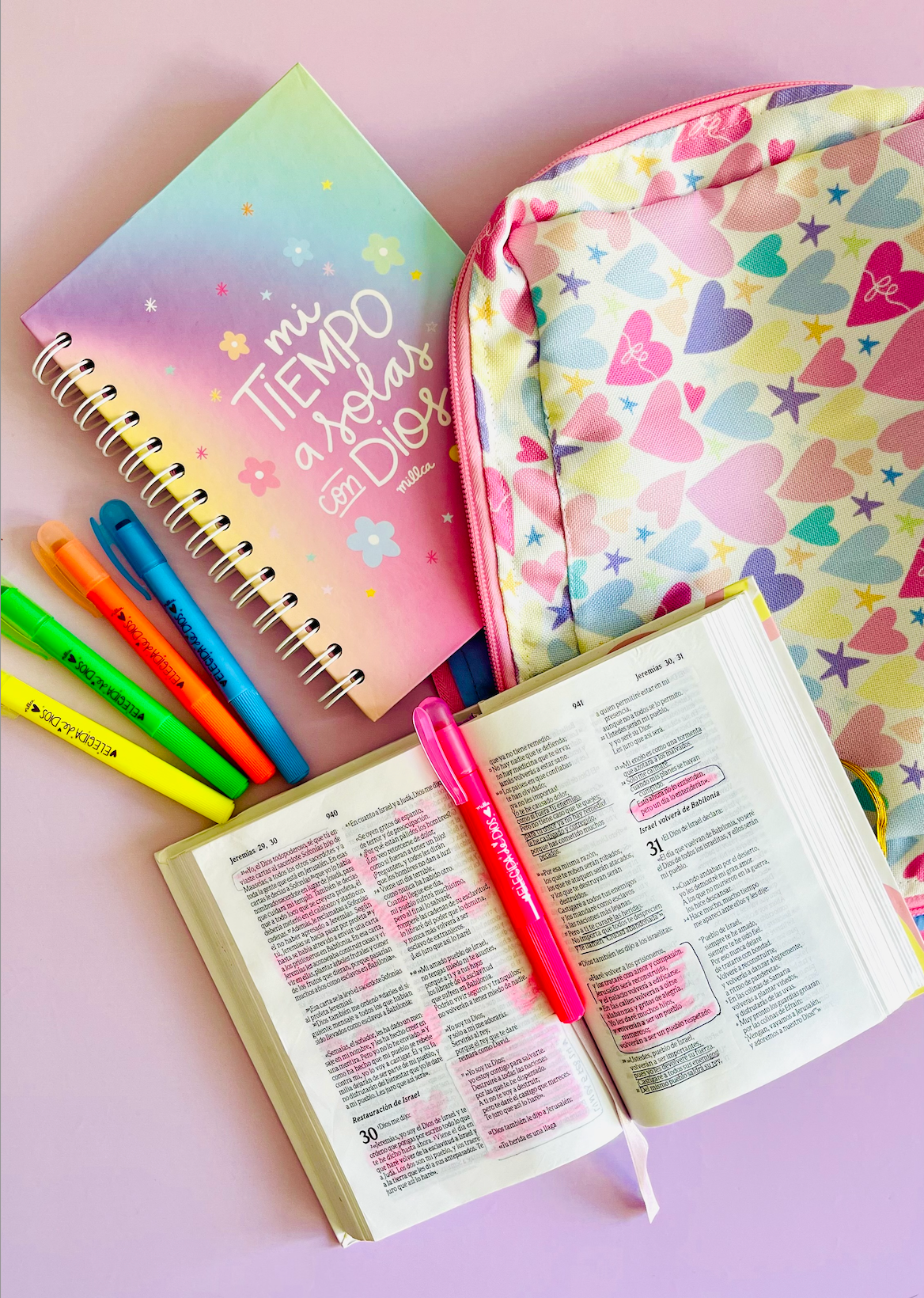 BIBLIA MILLCA PINK JOURNAL TLA (pequeña)