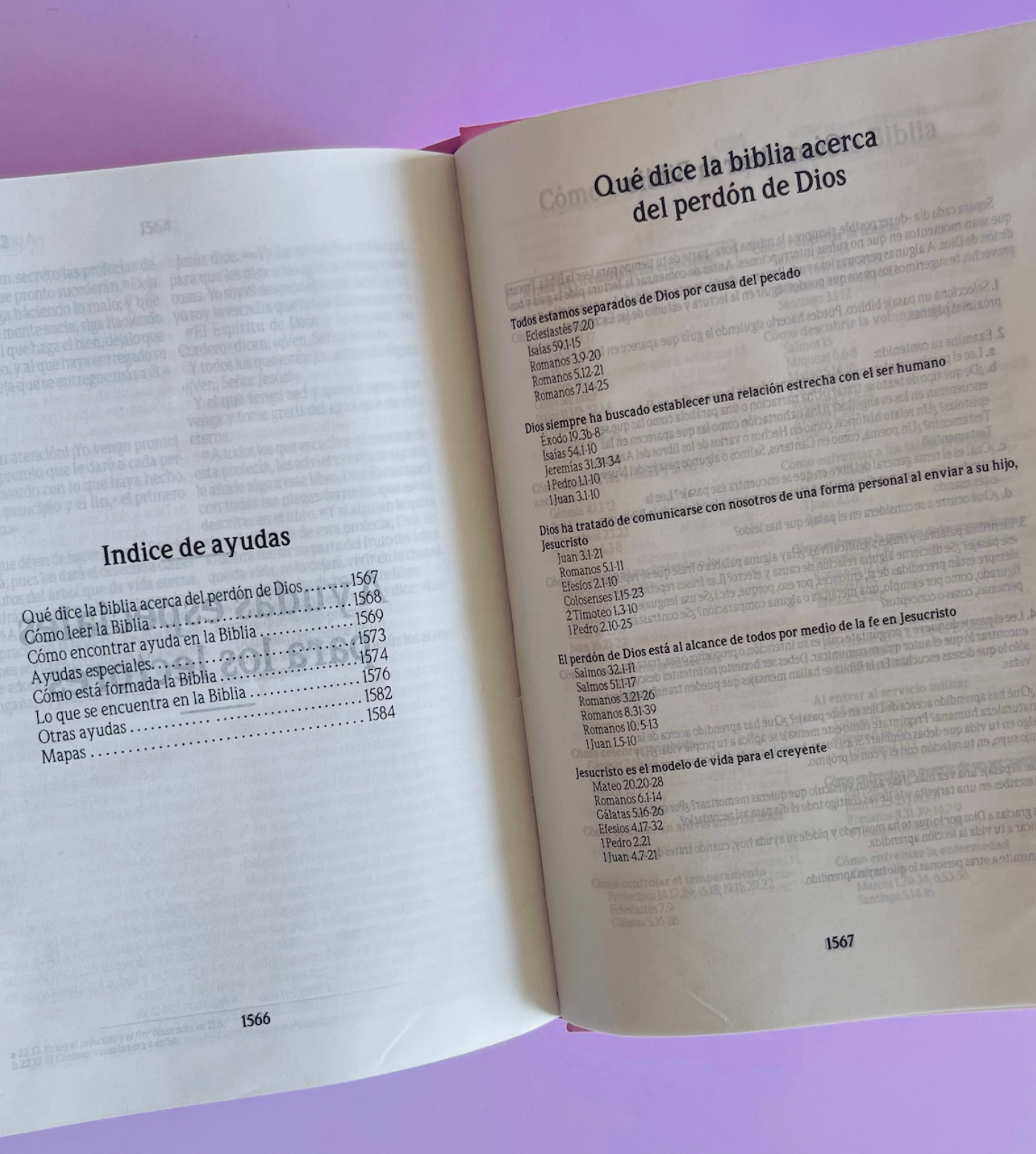 BIBLIA MILLCA PINK JOURNAL TLA (pequeña)