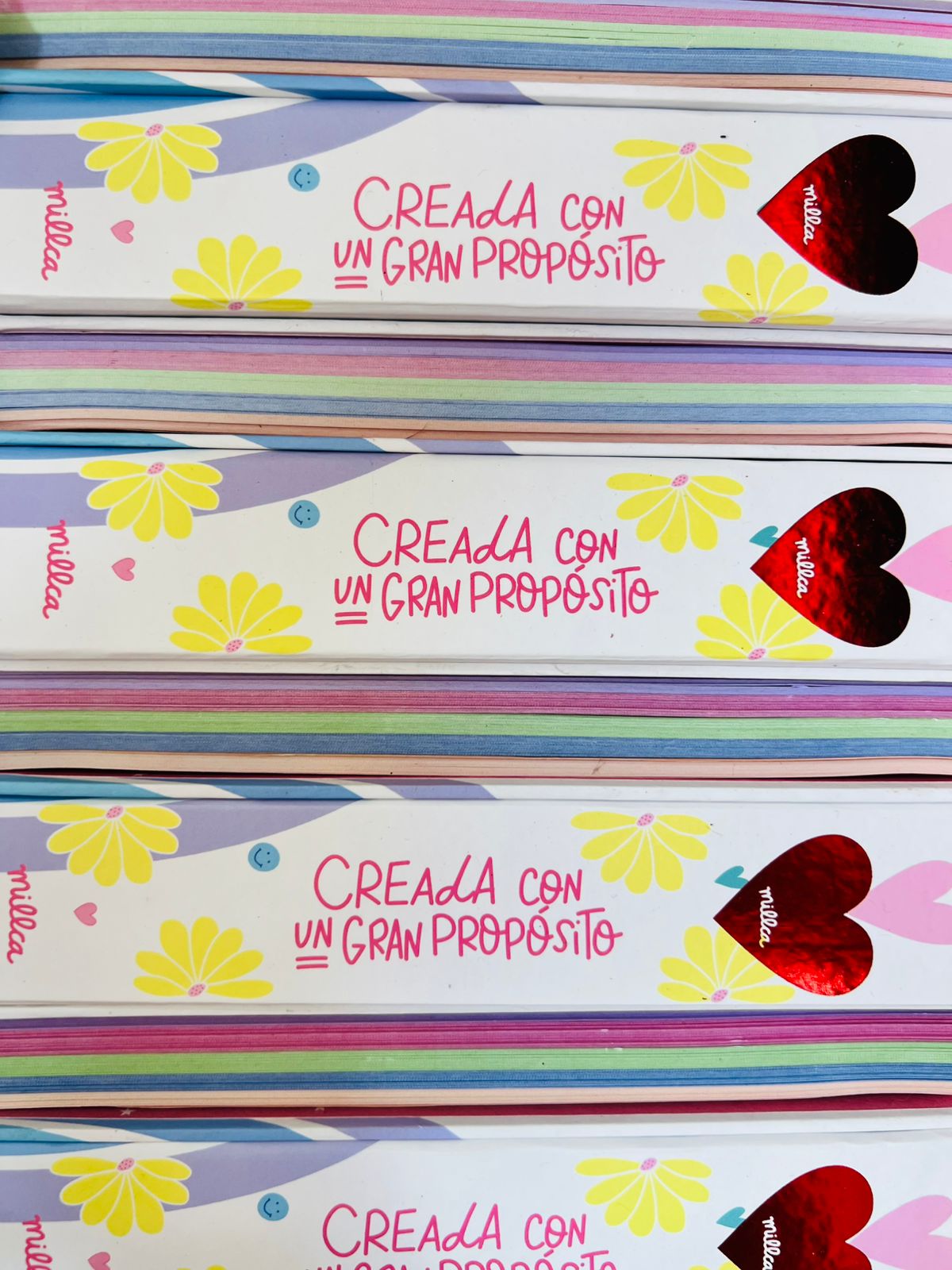 CUADERNO 5 MATERIAS ELEGIDA