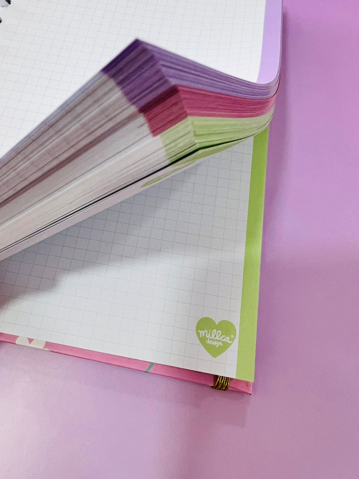 CUADERNO 5 MATERIAS ELEGIDA