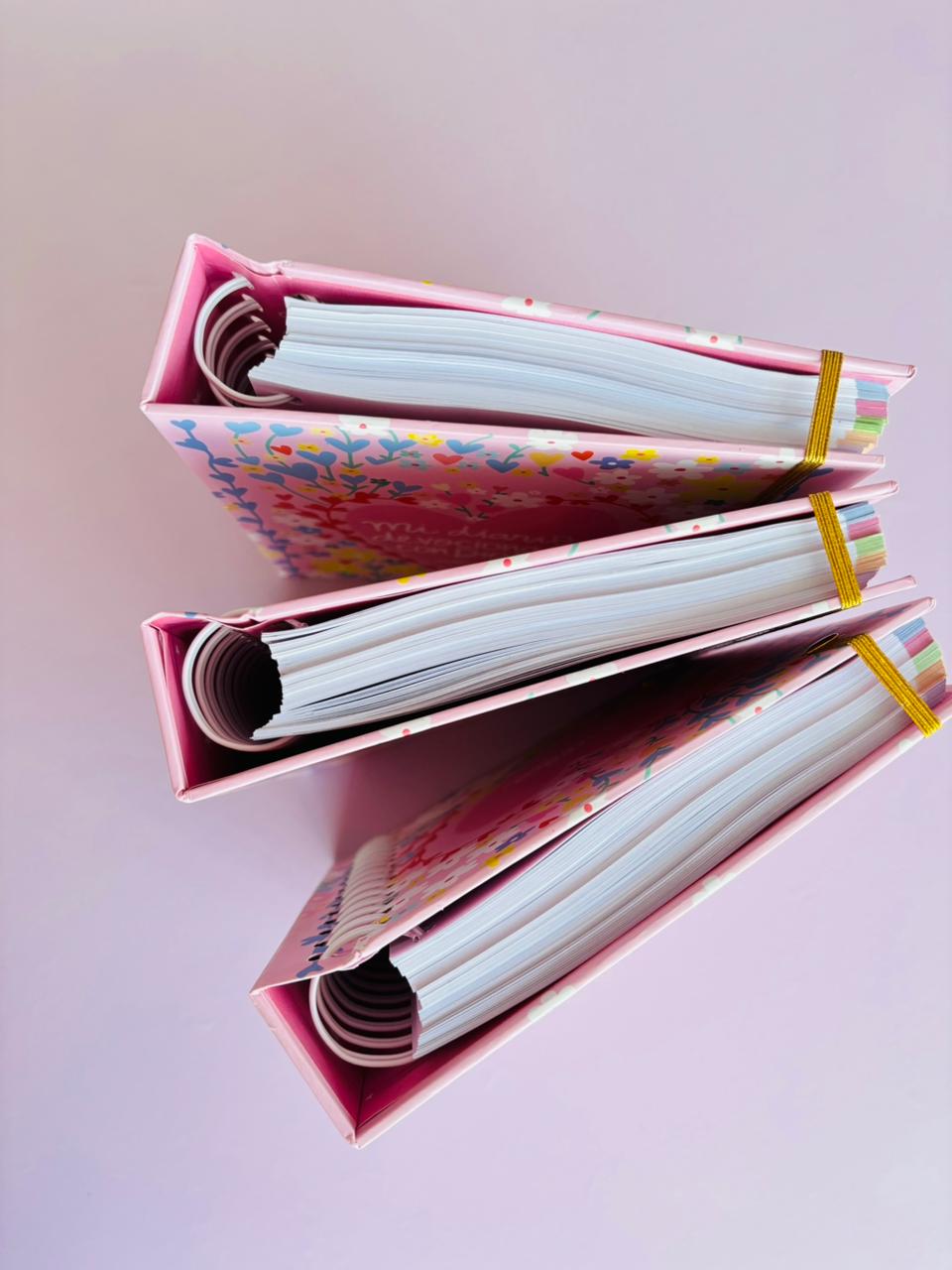 CUADERNO DIARIO DEVOCIONAL